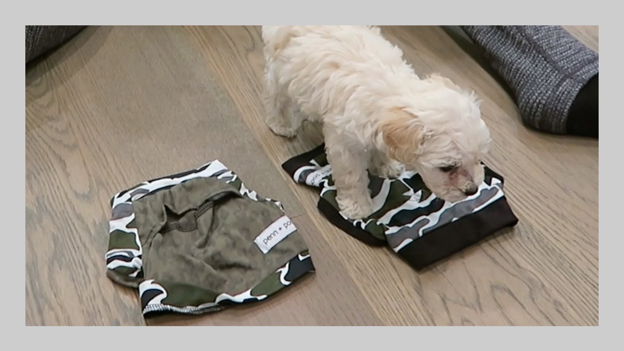 PUPPY PICKS OUTFIT!!! | iJustine