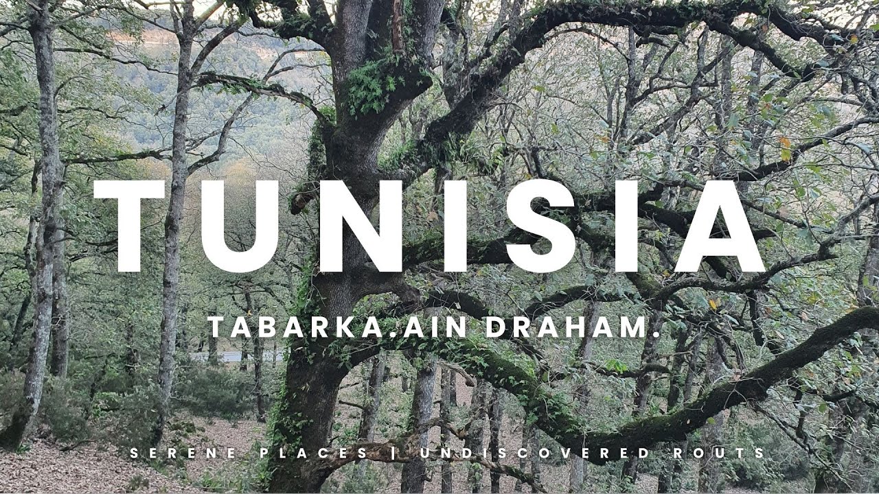 Exploring Northwest Tunisia: from Tabarka to Ain Draham| Nature, History and Quiet Villages