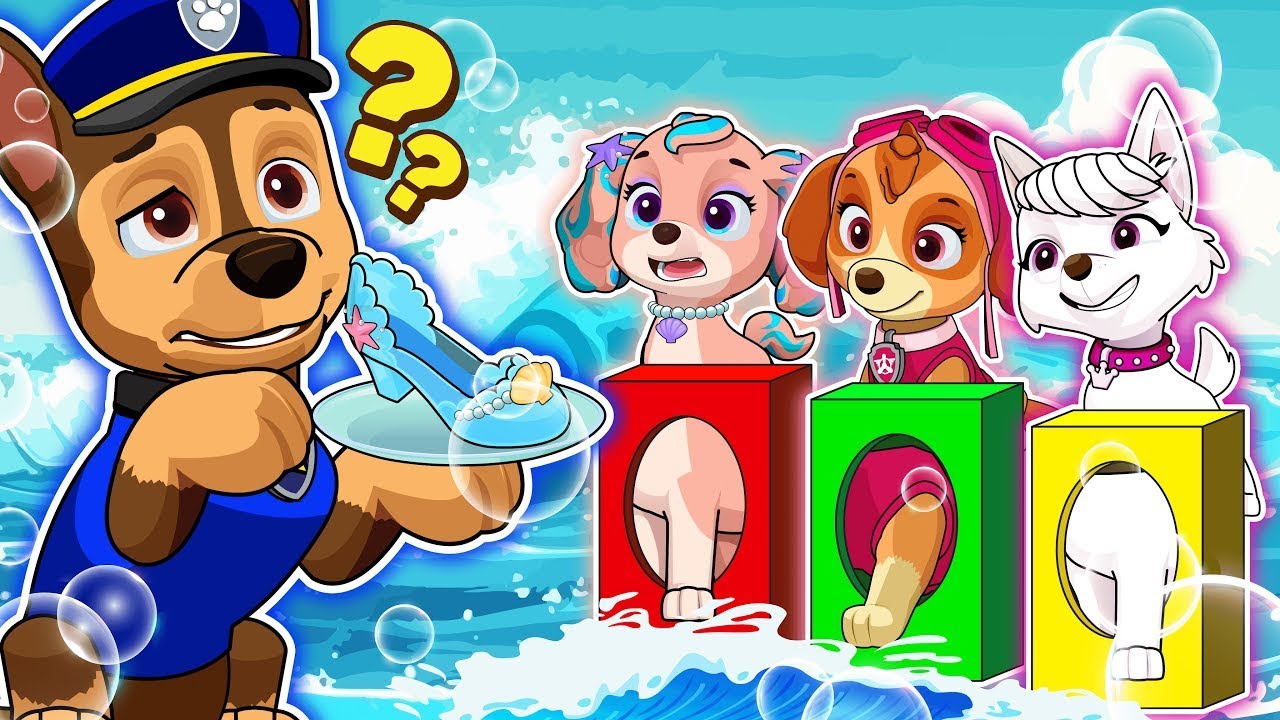 &iquest;Qui&eacute;n ser&aacute; la elecci&oacute;n de Chase??? - Una historia de vida muy divertida | PAw PatRol en Espa&ntilde;ol
