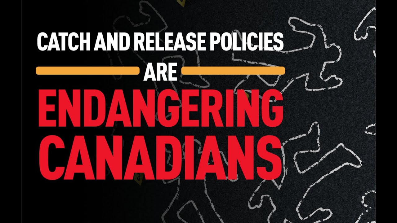 Canada's TOUGH ON CRIME” BILL EXPOSED: Mandatory Minimums… Without the Mandatory
