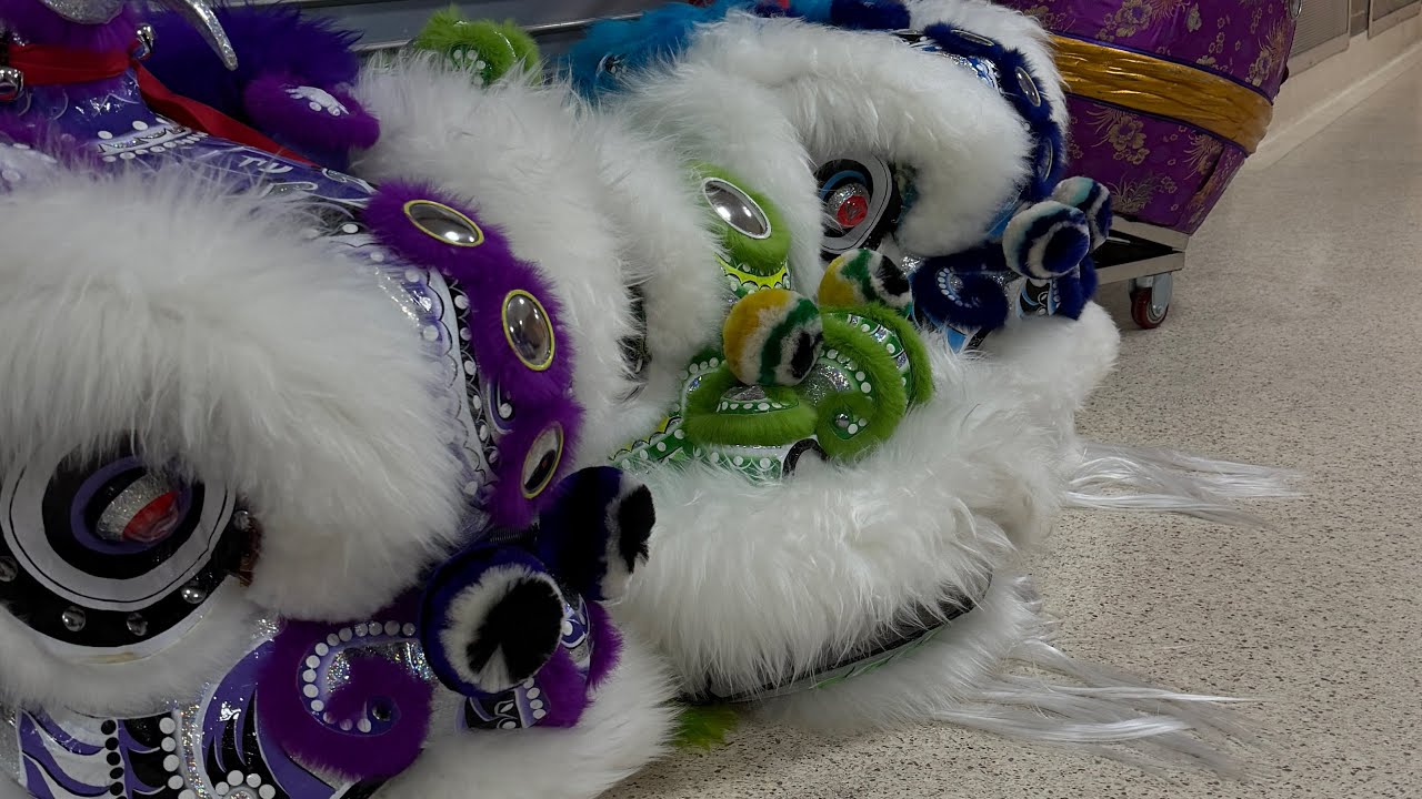 Westmoore Highschool AAS Social - Lunar New Year 2026 | GQLIONDANCE | Đoàn Lân Chùa Giác Quang