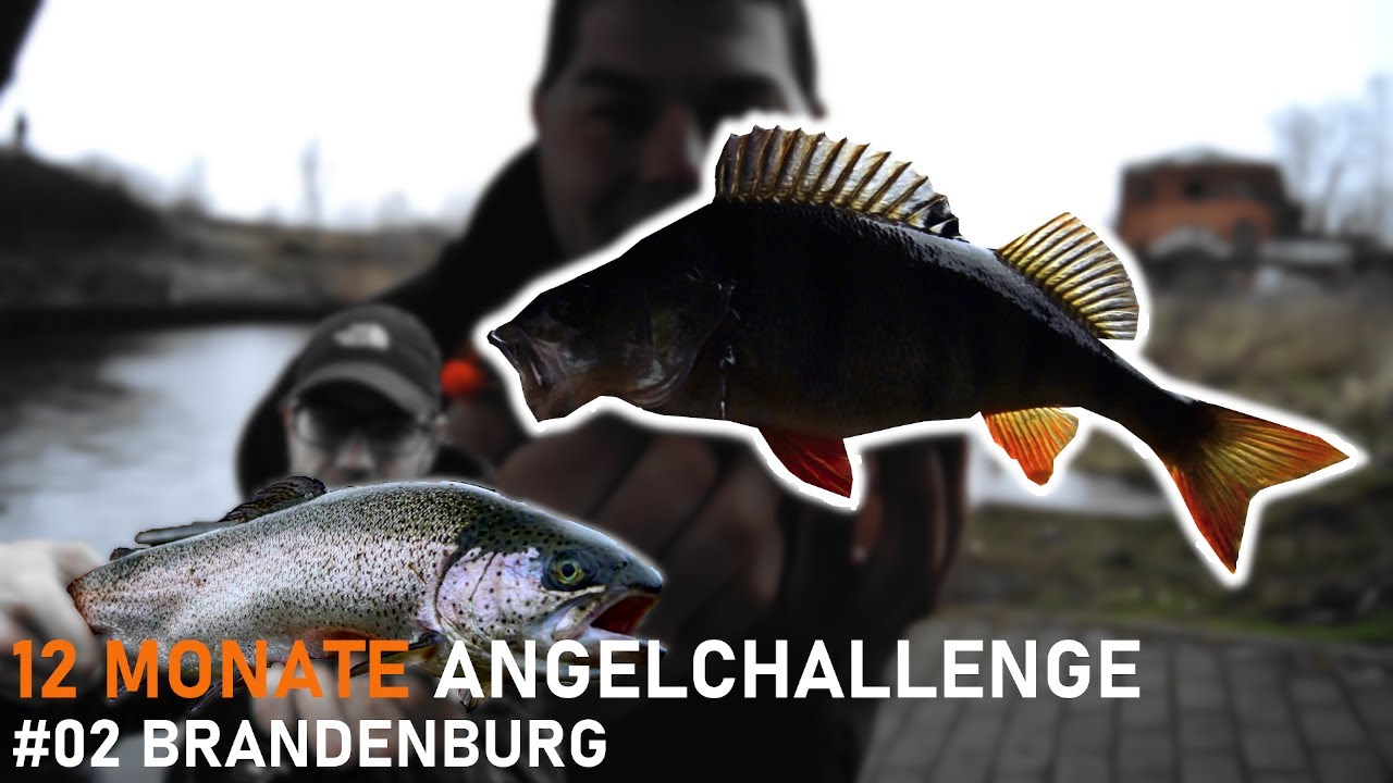 Angelchallenge 02/16: Brandenburg | Mit Totti auf Barsch und Forelle