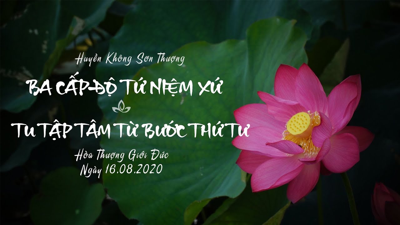 Ba Cấp Độ Tứ Niệm Xứ - Tu Tập Tâm Từ Bước Thứ Tư | HT. Giới Đức | Ngày 16/8/2020