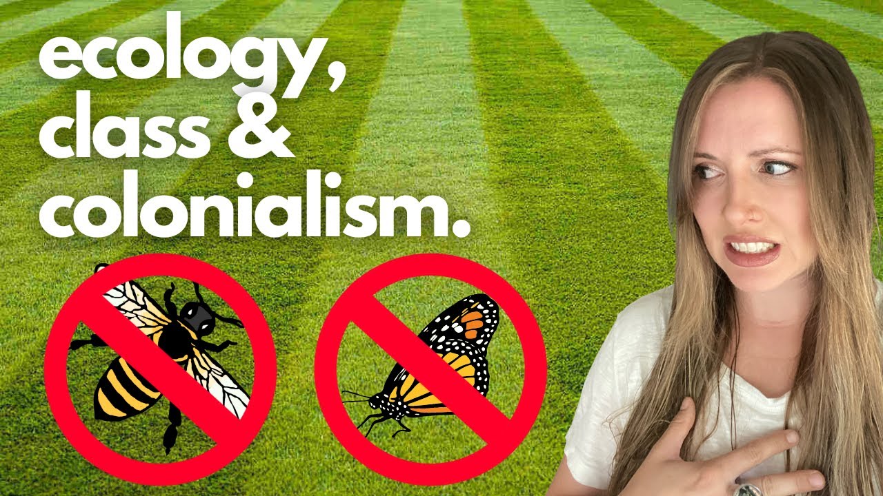Please, Kill Your Lawn