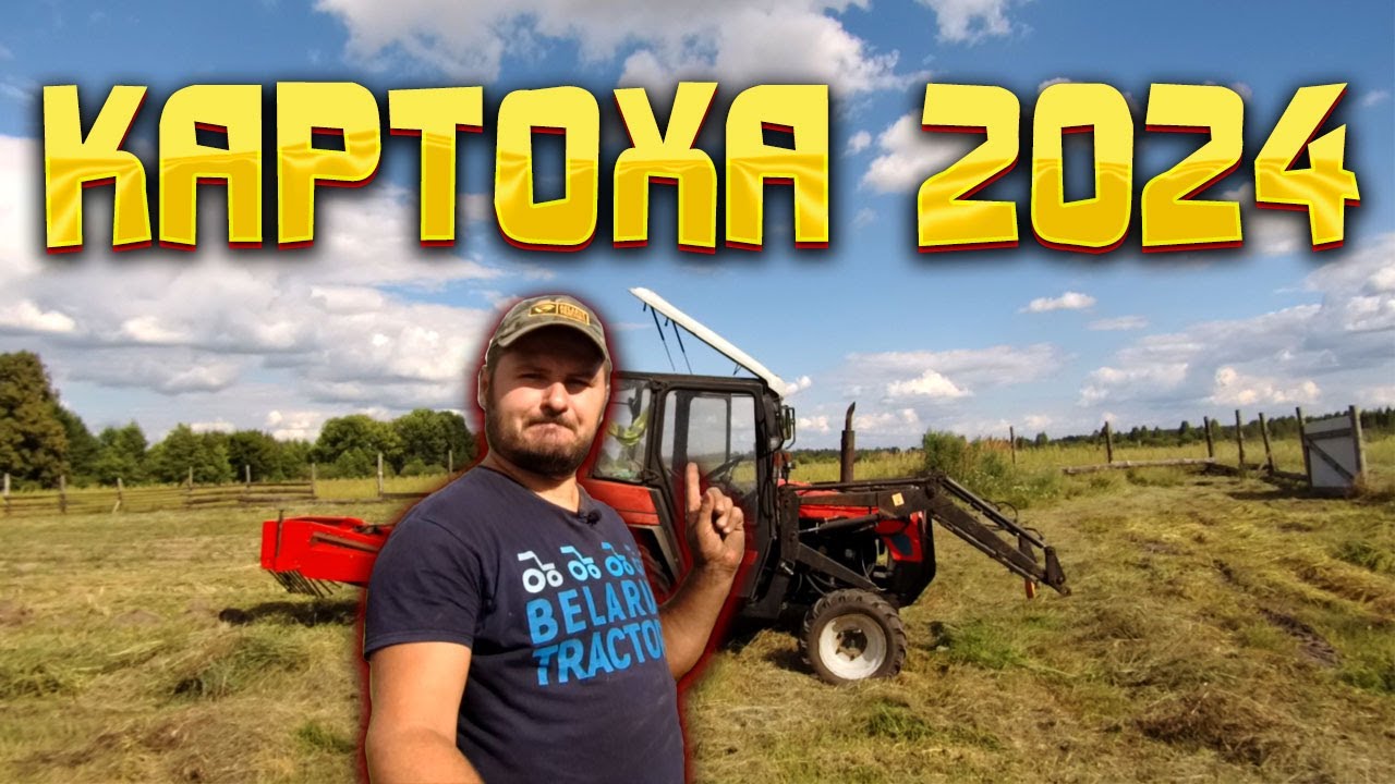 Копаю картошку трактором МТЗ 320 и однорядкой картофелекопалкой Wirax