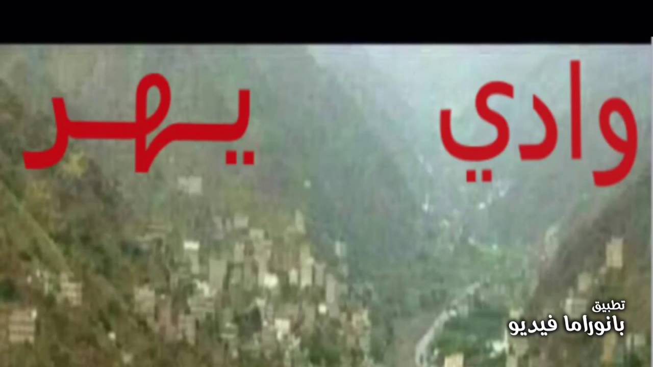 سليمان ثابت عوض جديد يا طير لو رحت للغالي