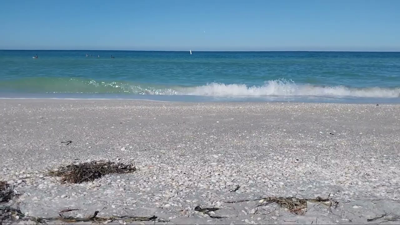 Clearwater Beach (Relaxing)