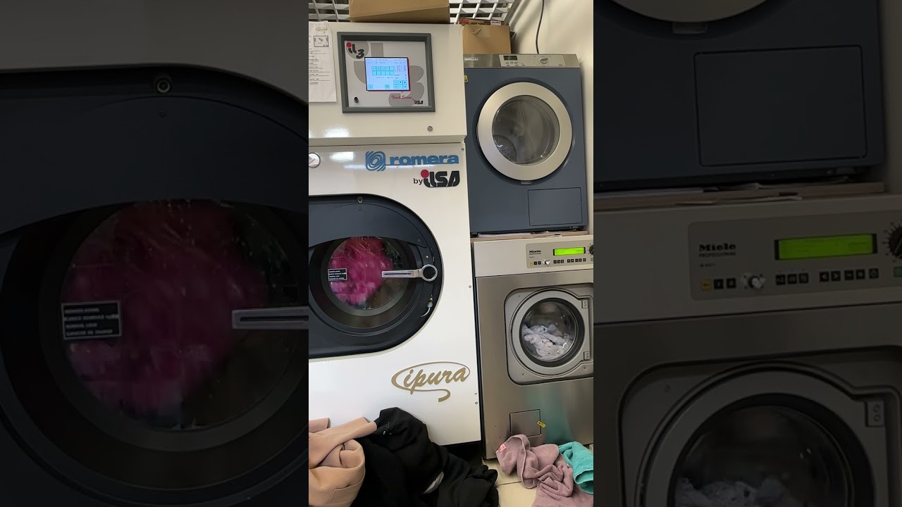 NAS Ilsa Ipura et Miele w6071