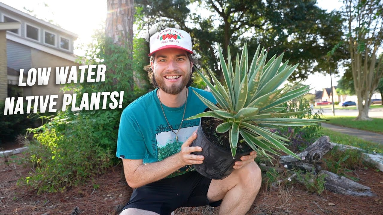 Low Water & Drought Tolerant Native Plants for My Garden! Zone 9 Texas