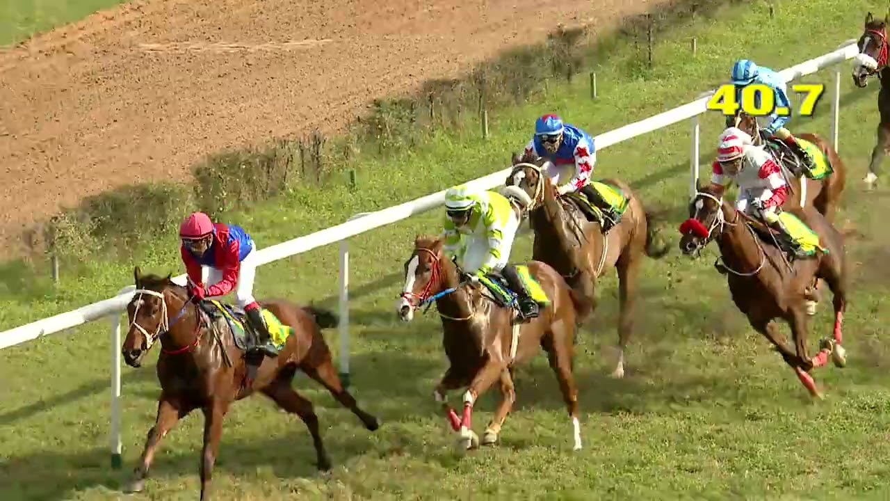 Race No:117 SAIGON wins THE MADRAS RACE CLUB AUCTION SALE MILLION