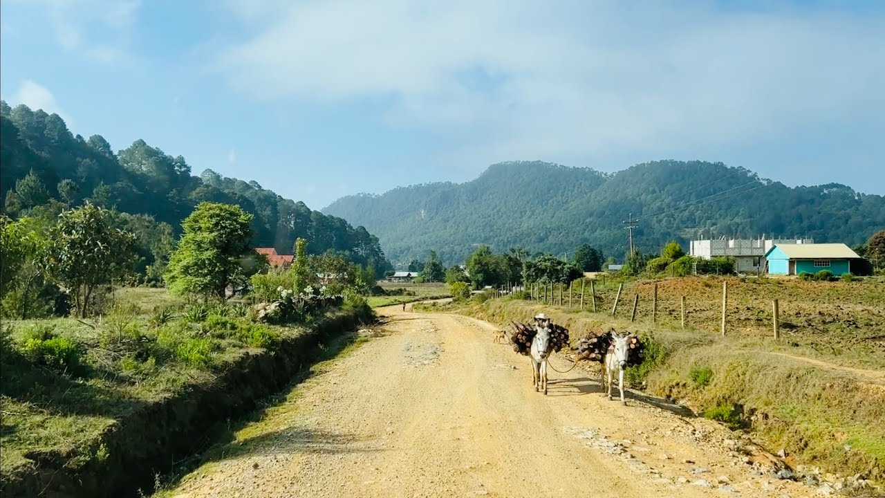 Visitando El Pueblo De Guerrero Santa Cruz Itundujia Oaxaca