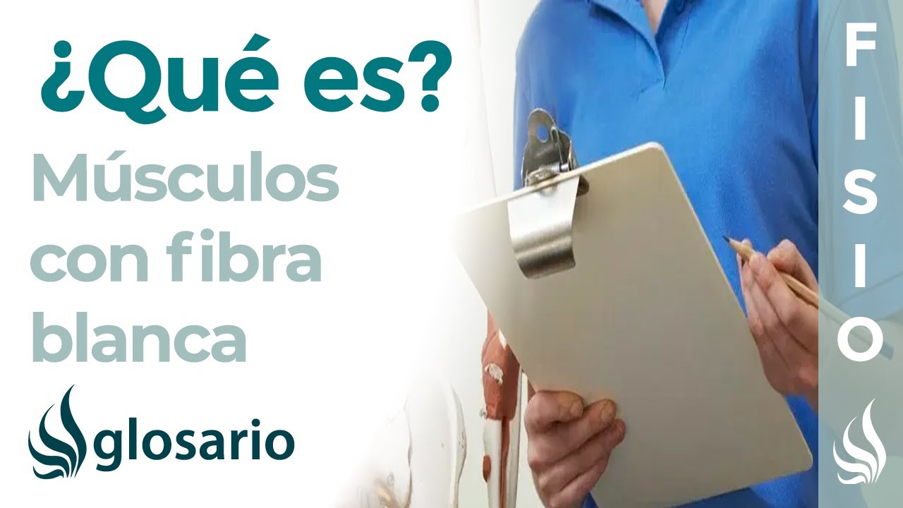 FIBRA BLANCA | Qué es, en qué músculos se encuentra, características y función