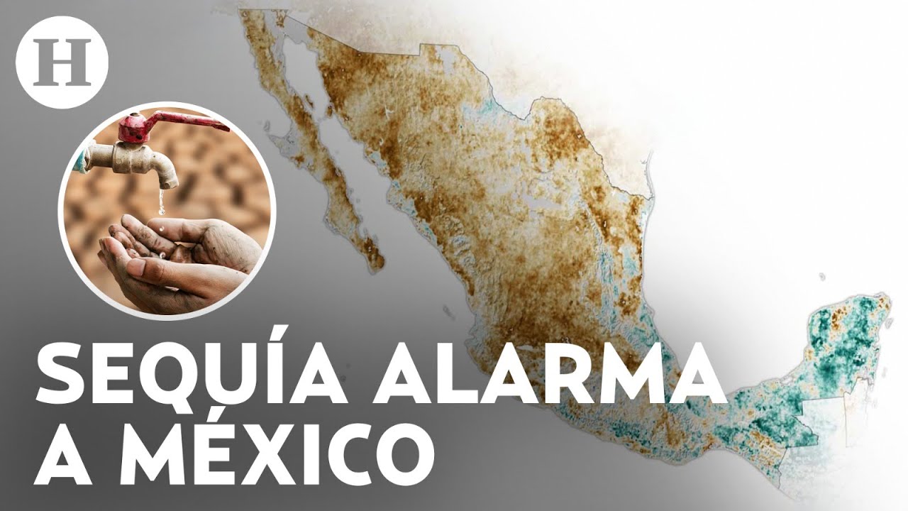 Conagua alerta de una grave escasez de agua para 2024; 6 estados registran el 100% de sequía