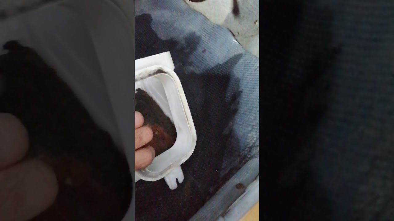 شرح وعمل غسل فريز سيارة سايبا
