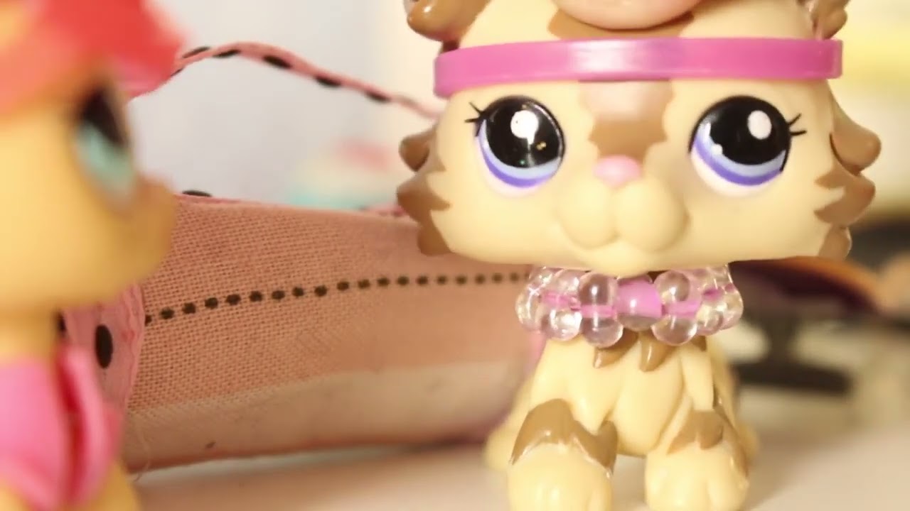 Lps   Fame vs Popular   Part 4
