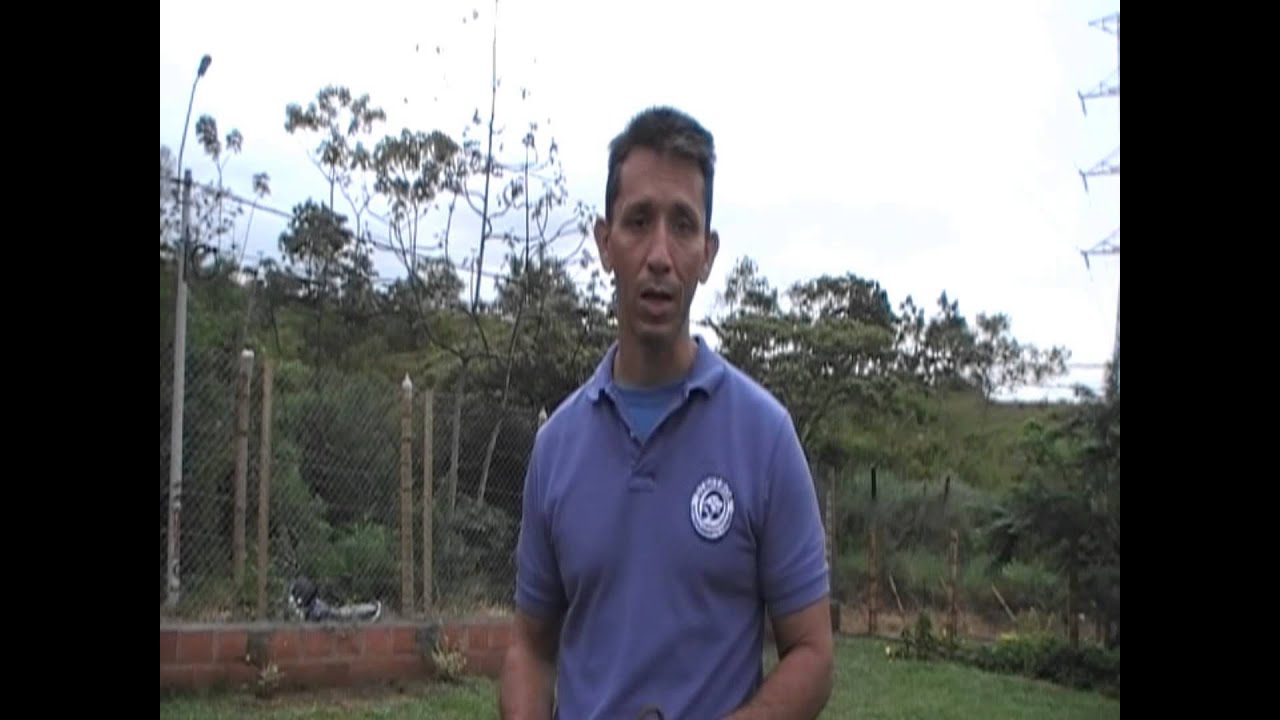 adiestramiento canino acudir al llamado.wmv