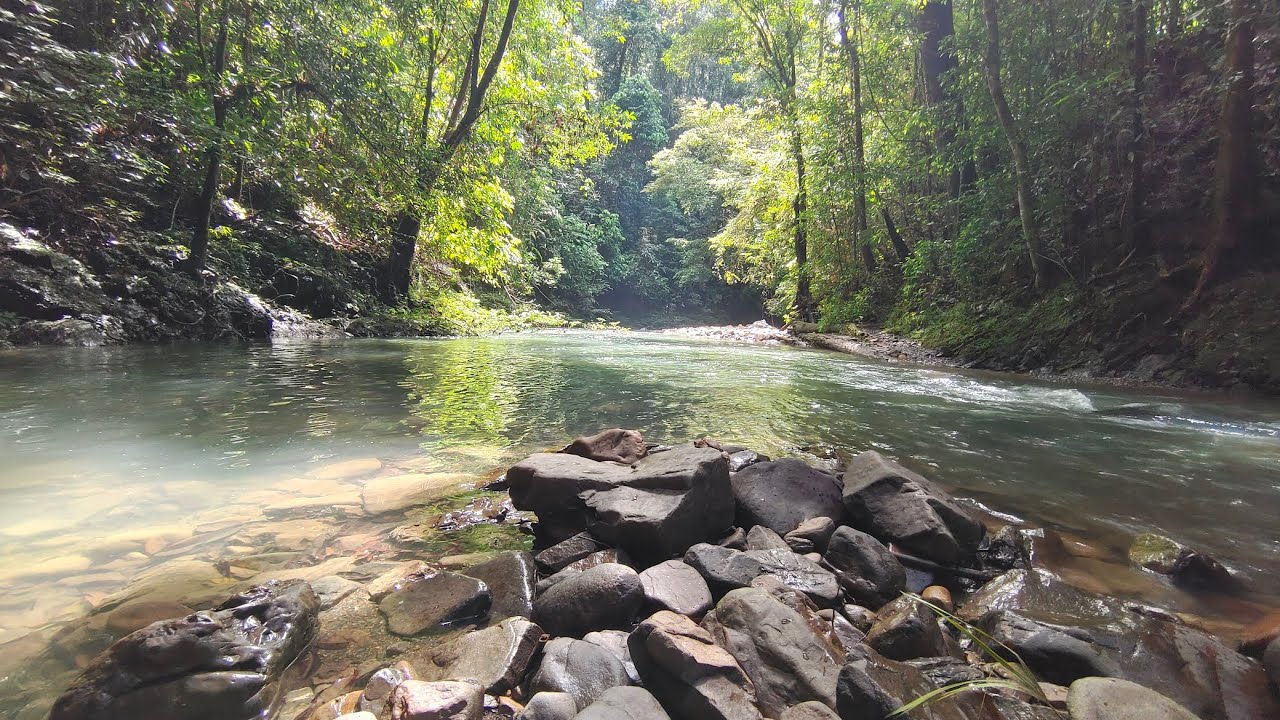 Brunei Hiking Trail: Episode 1 OBBD Sg Mutong Expedition