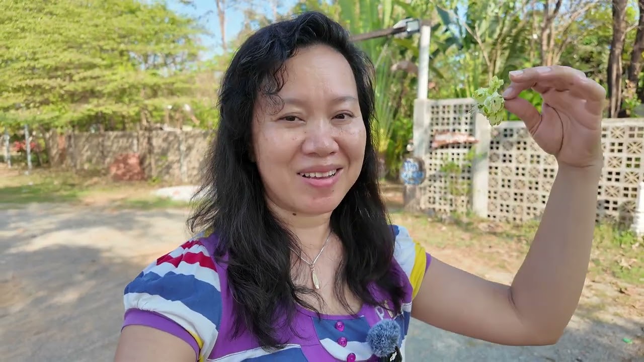 Good morning Cambodia https://maps.app.goo.gl/VxNpzj2iftZkvFir7