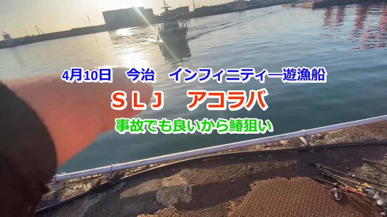 SLJ  アコラバ  50cm僅か届かず　4月１０日　今治　インフィニティ―遊漁船　　あわよくば鰆！　＃ＳＬＪ　#アコラバ#スーパーライトジギング #BLJ