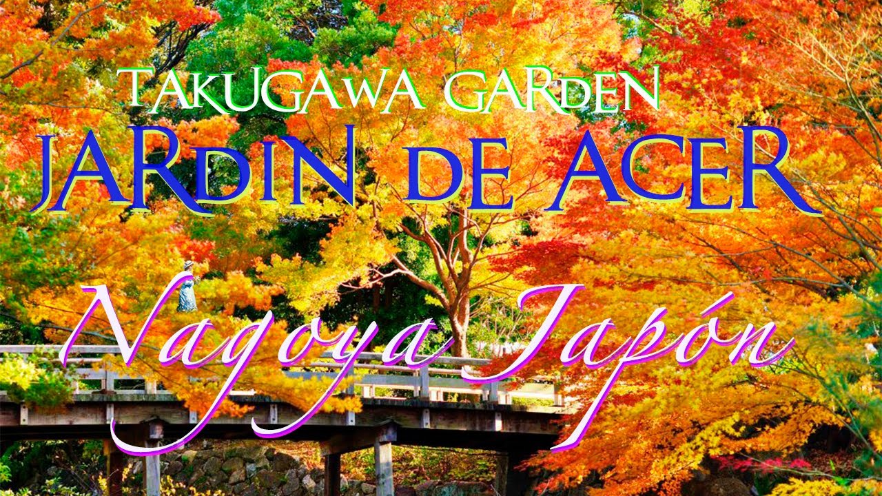 Takugawa Garden - Jardín de Acer Palmatum - Colores de otoño