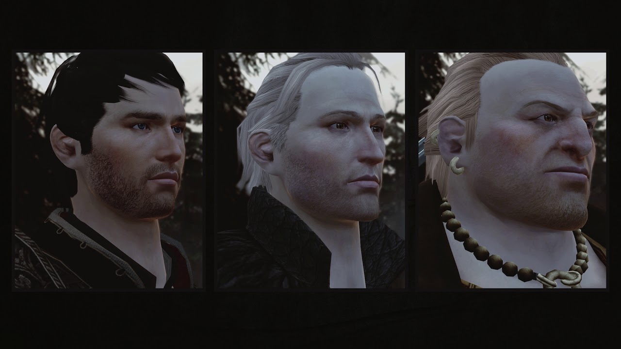 Спутники об Андерсе и Хоуке [Подколы для вечеринки] | Dragon Age 2