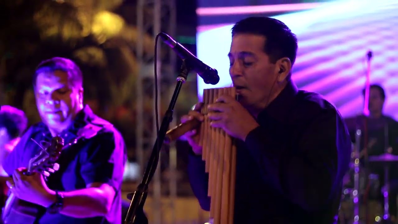 MARKAKUNA - Proyecto  FENIX (vivo)