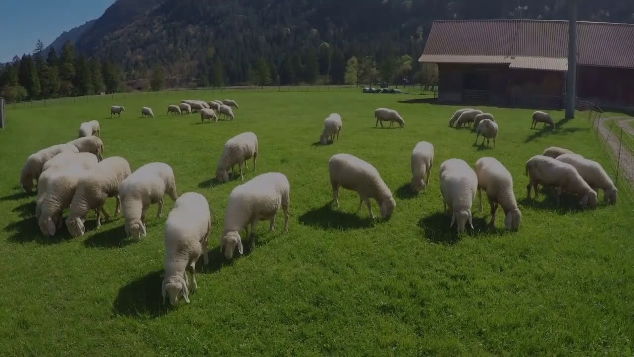 Maripol Film pr&auml;sentiert - Farchant-Oberau 5 Oktober 2020