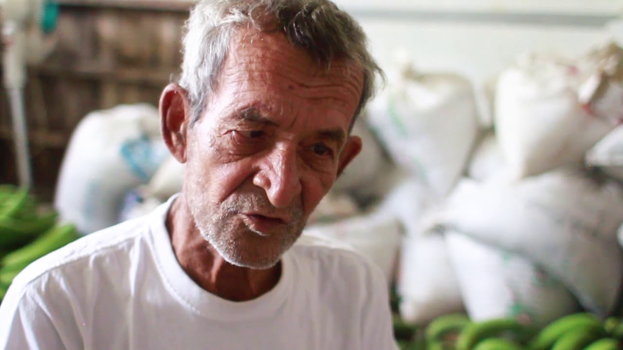 Conflicto Armado. Sur del Tolima