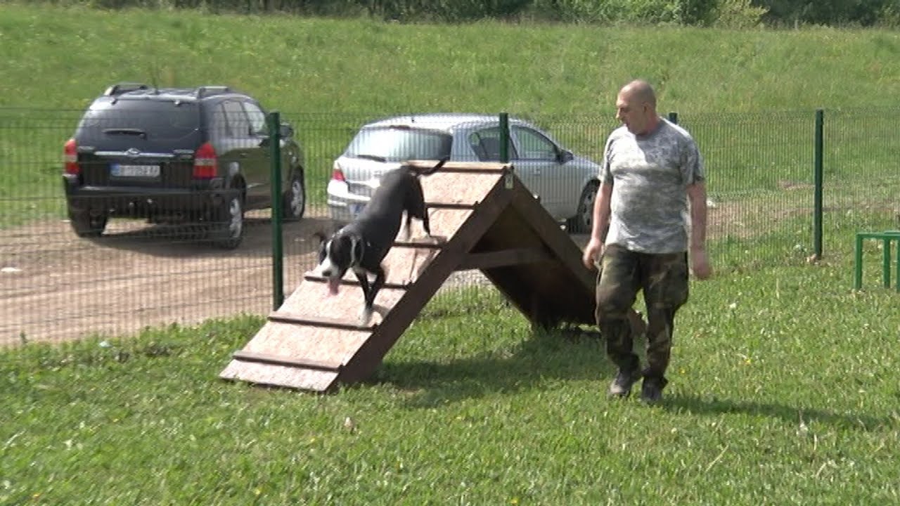 Otvoren park za pse