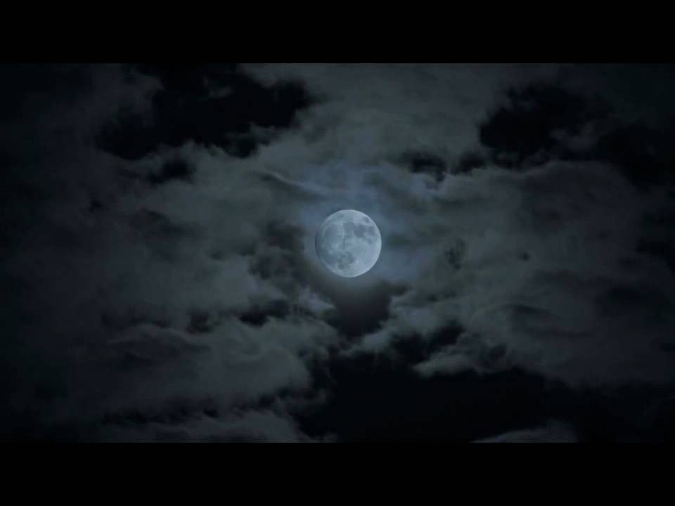 Die Orsons - Zum Mond