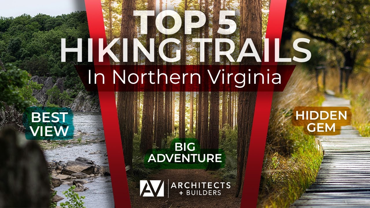 Top 5 Hiking Trails in Northern Virginia You Need to Explore