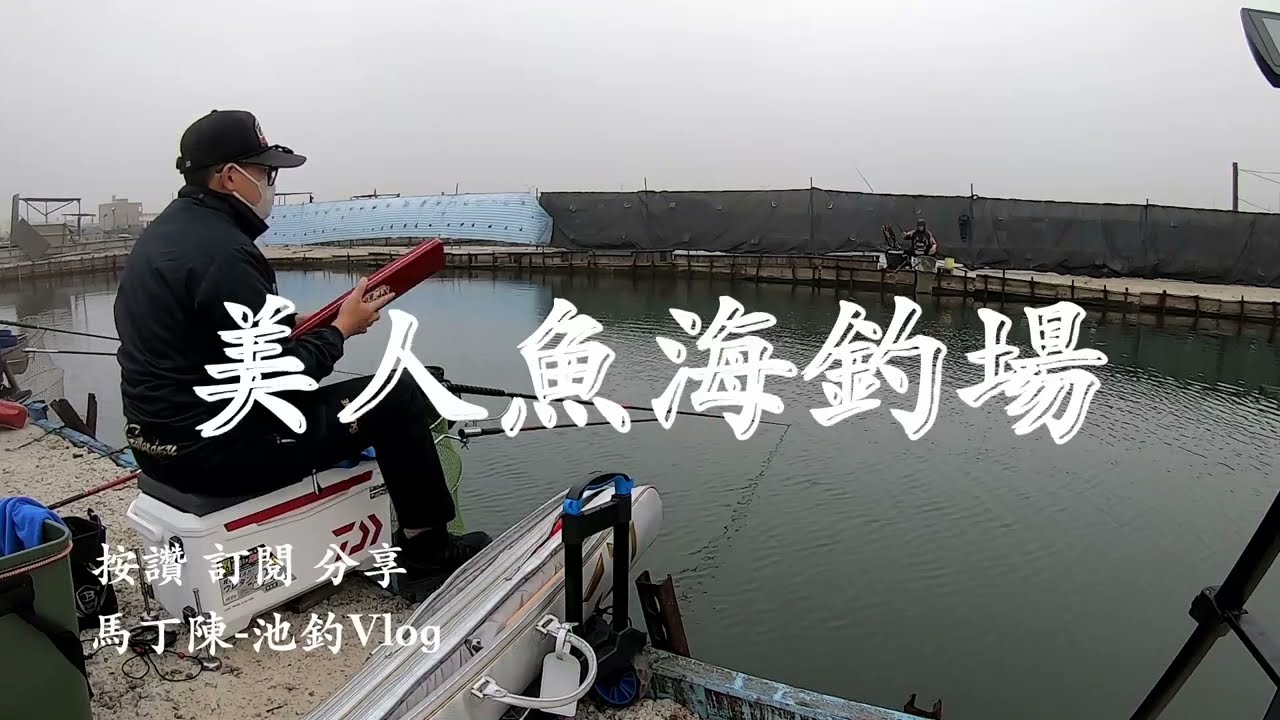 [池釣福壽魚]-[美人魚海釣場]-[半鹹水吳郭魚]：冬天貓嘴，努力騙那可愛小嘴