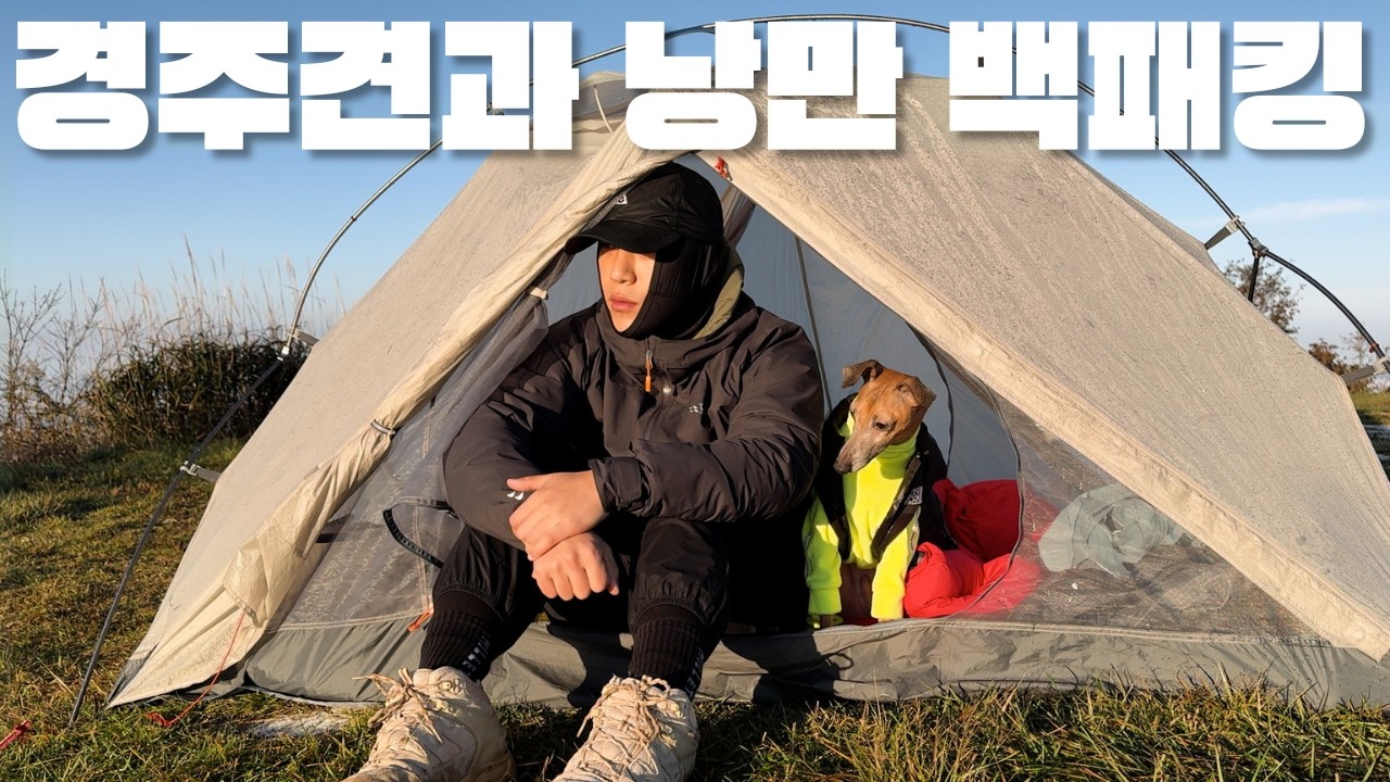 강추위 속 그레이하운드와 1100m 산 정상에서 백패킹으로 살아남기 |반려견캠핑 | 노지캠핑 | 백패킹 | 팔공산 | 일출 | 힐링