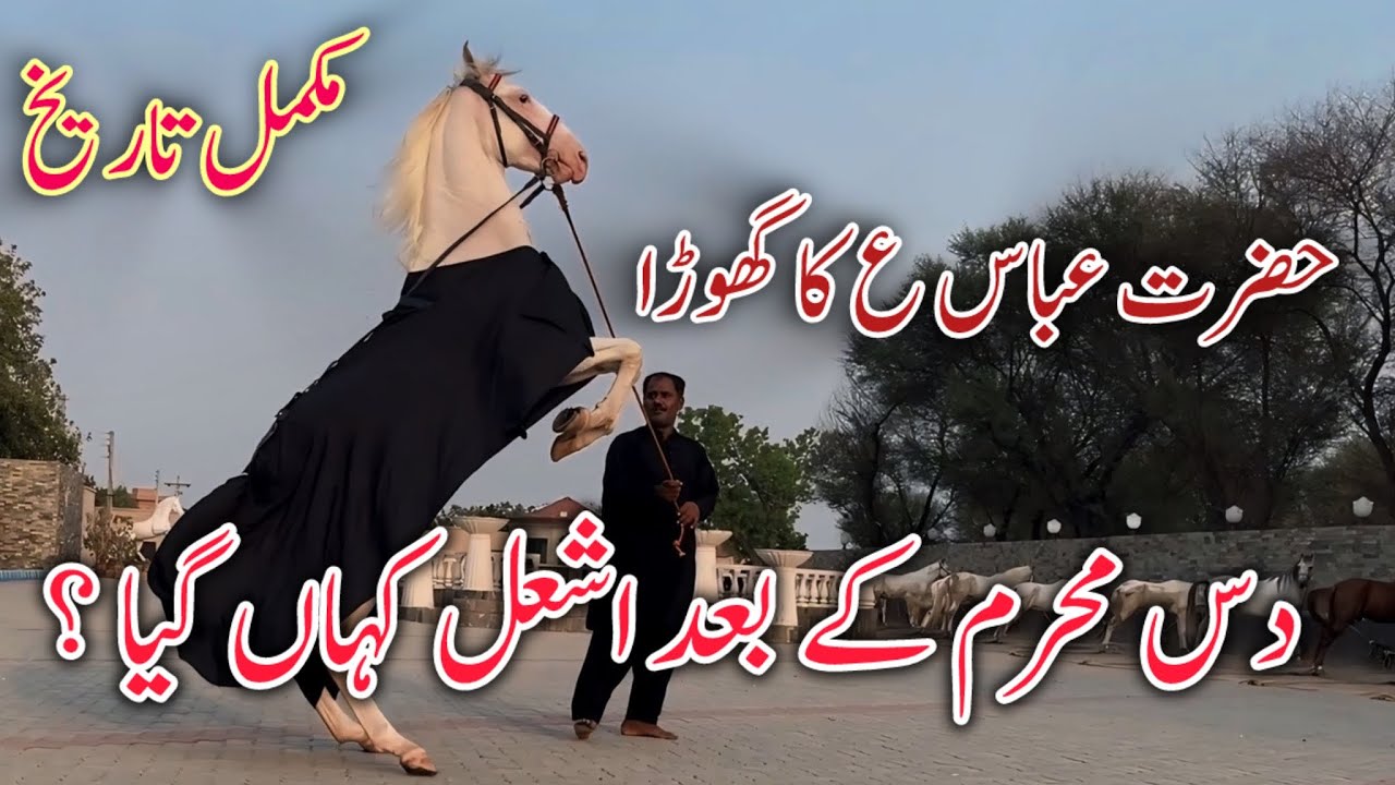 Mola Ghazi Abbas AS ka Ghora || Ashal kahan gaya ?