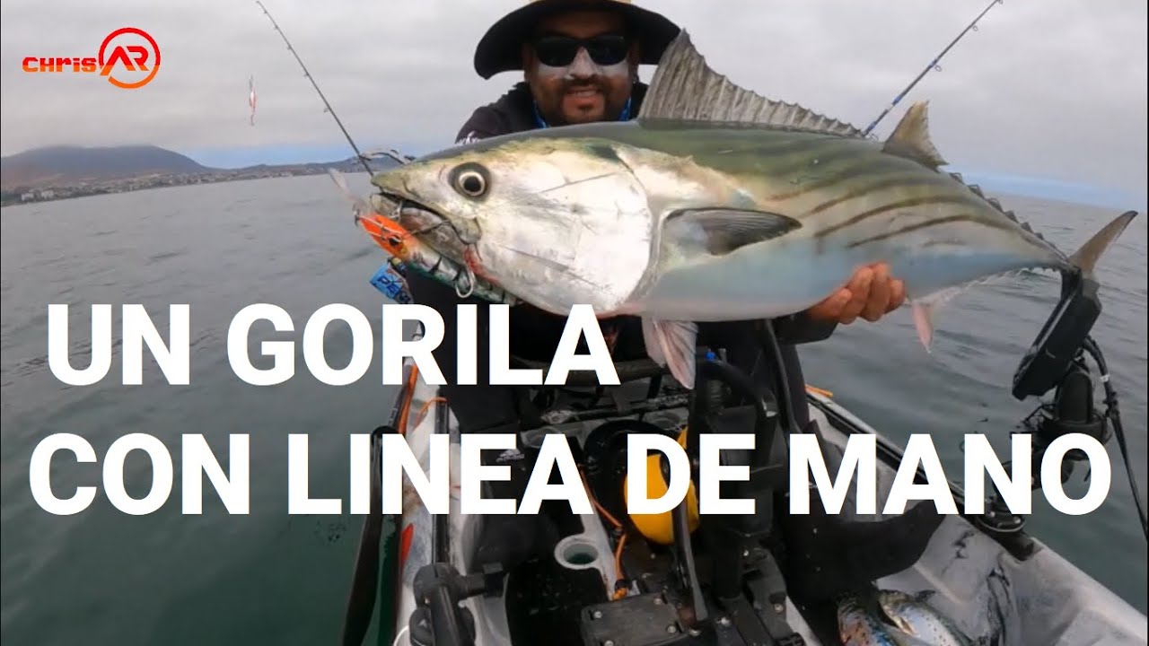 LOCURA DE JURELES Y MONO XL CON LINEA AL CORCHO!! HUASCO