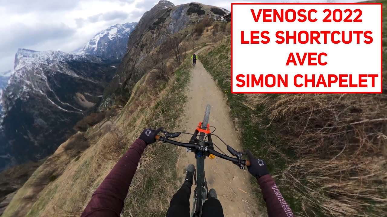 LES 2 ALPES - VENOSC