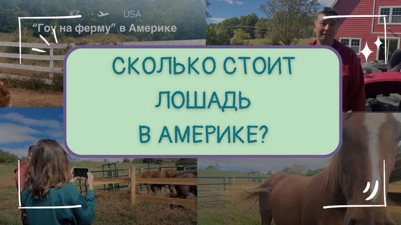 Выпуск #12 | Посетили ферму казаха в Америке