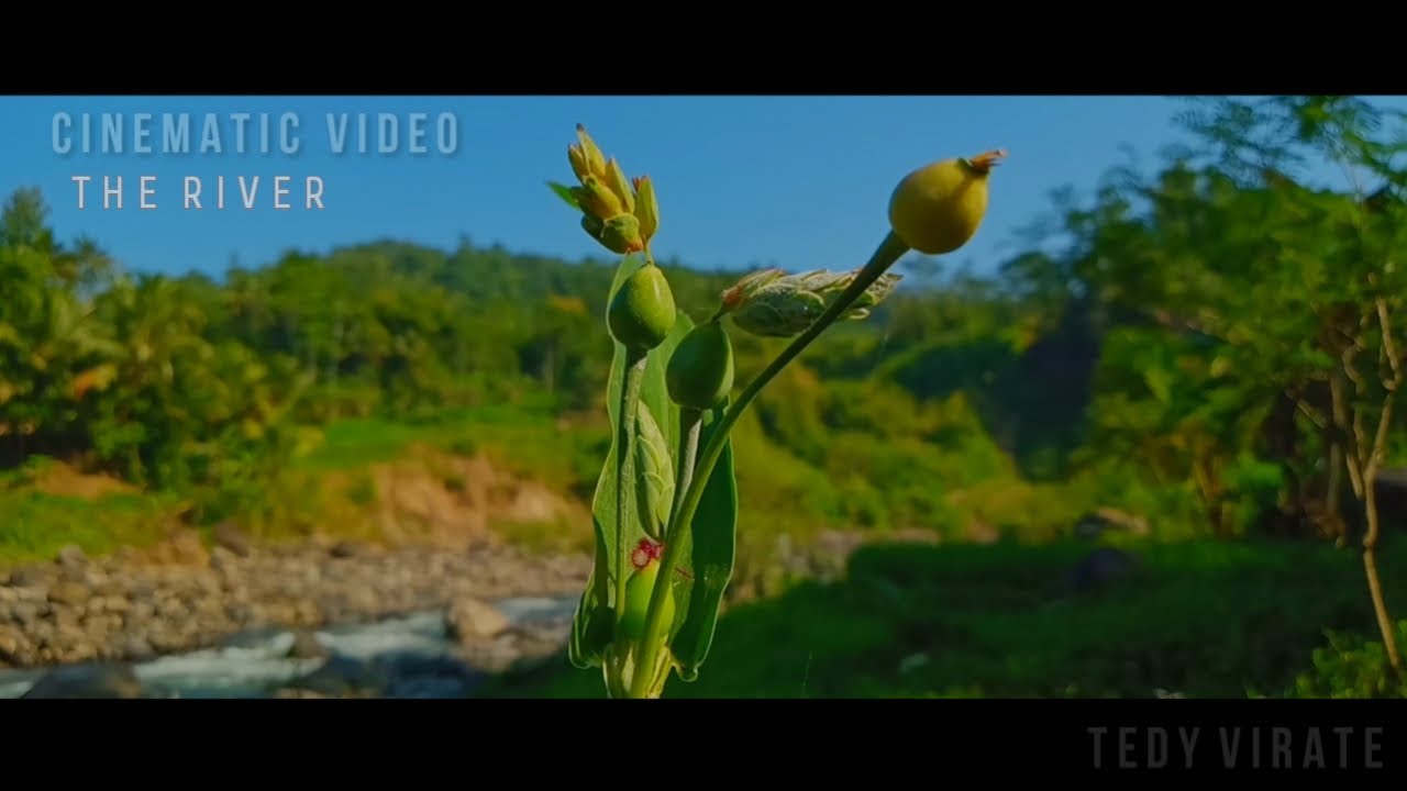The river cinematic video with oppo a5s smartphone camera