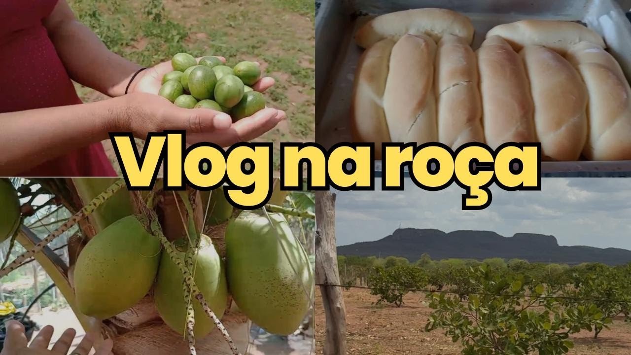 ✅ Rotina do Dia a Dia | Faxina em Casa + Pão Caseiro na Casa da Minha Mãe 🏡