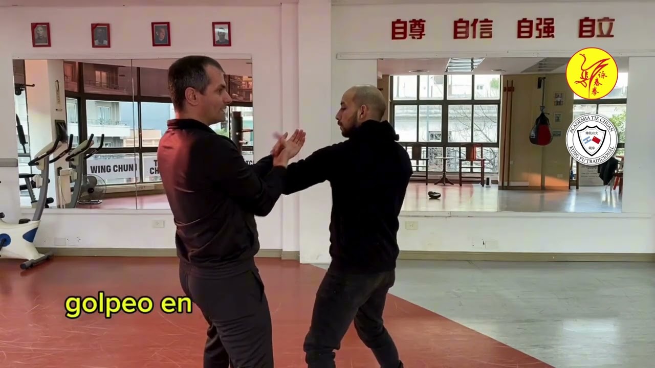 Tam Sao y Lam Sao, ampliando el concepto. Foshan Wing Chun.