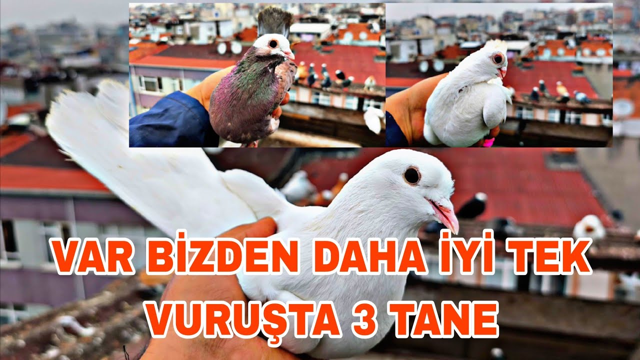 6 Mart 2026