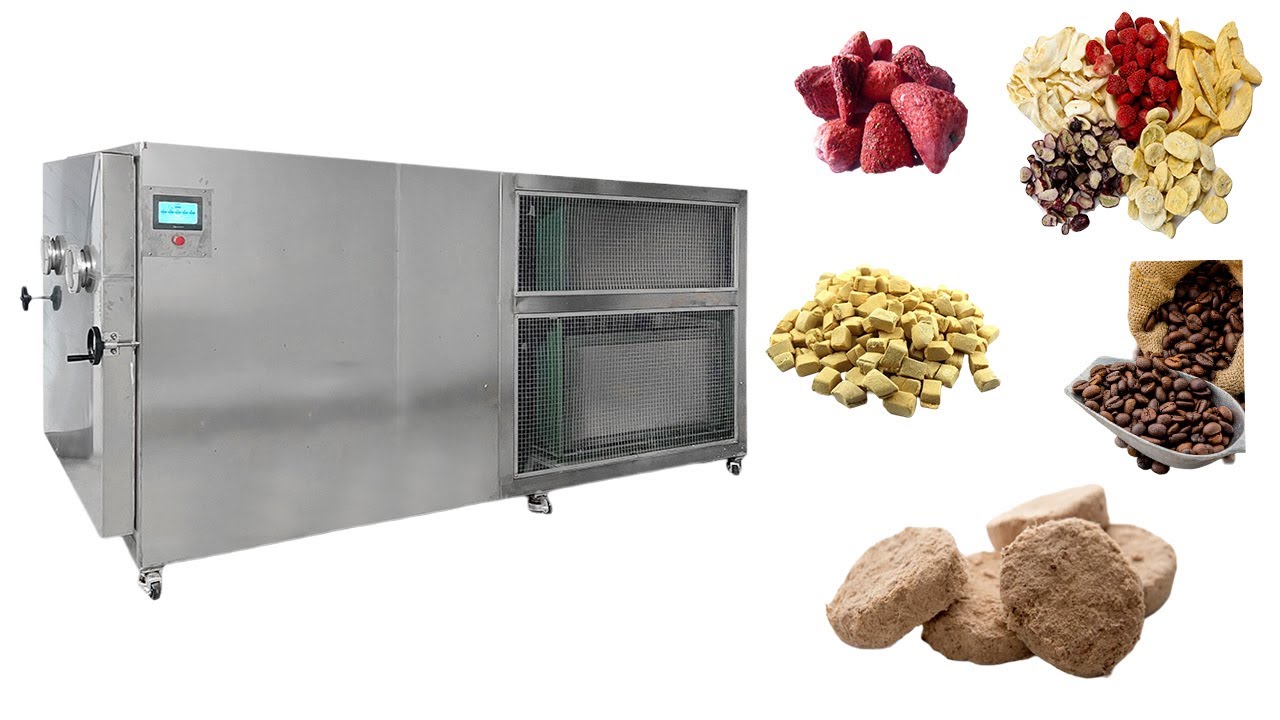 commercial Vegetables fruits herb meat Vacuum freezing -dryer