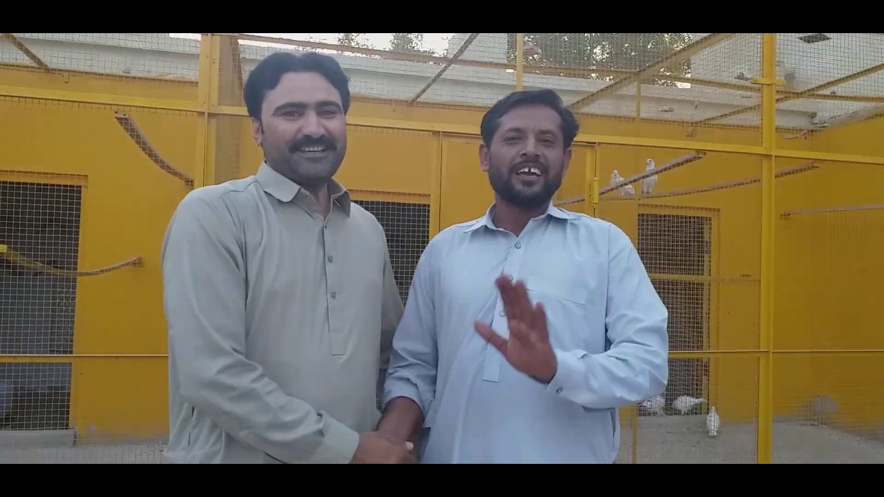 Wapsi Sanbhaal or Thandha pani ustard mazhar urf maazi Chishtian city  || 22.05.20 imran badil ||