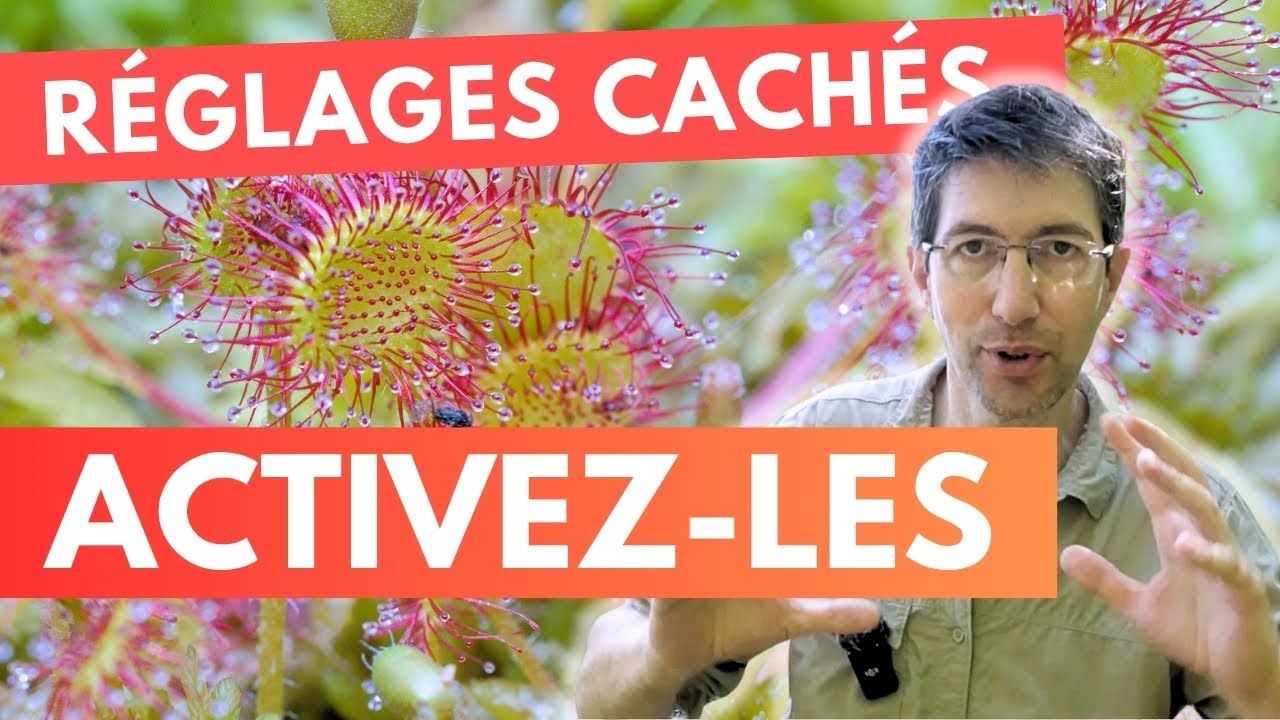 Améliorez la netteté de vos macro photos grâce à ces deux réglages essentiels.