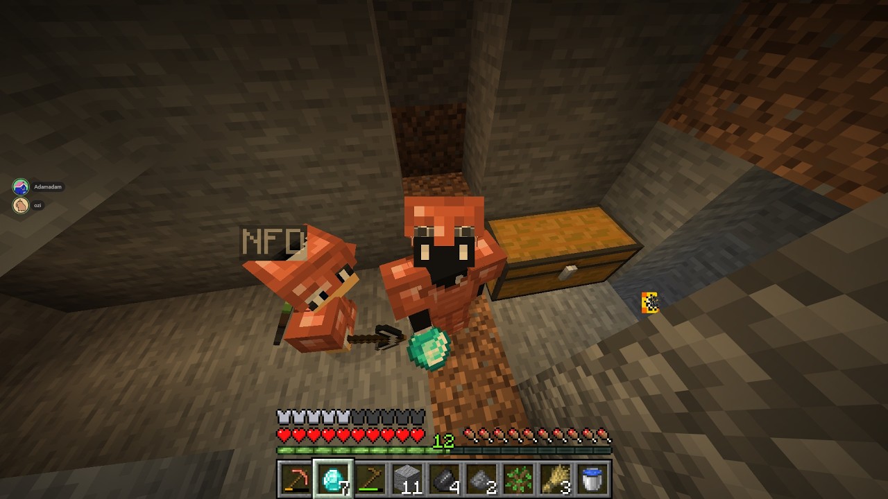אדם משחק minecraft