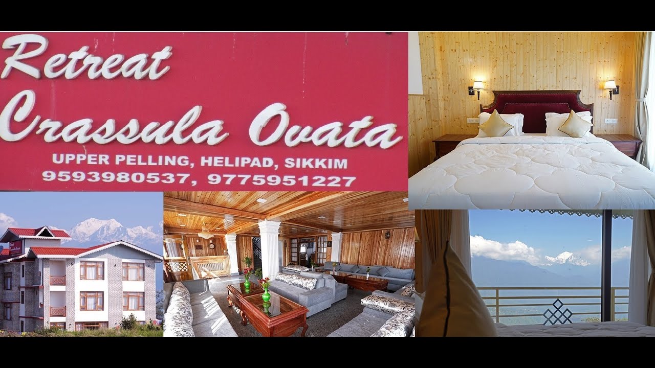 HOTEL RETREAT CRASSULA OVATA UPPER PELLING  HOTELS | MOUNTAIN VIEW HOTEL| KANCHANJANGHA VIEW HOTEL