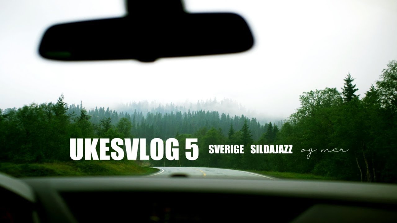 Harryhandel og Sildajazz | Ukesvlog 5