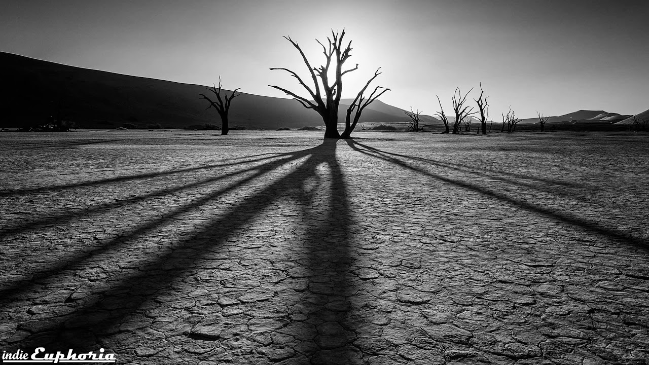 Starve by Trauma Ray