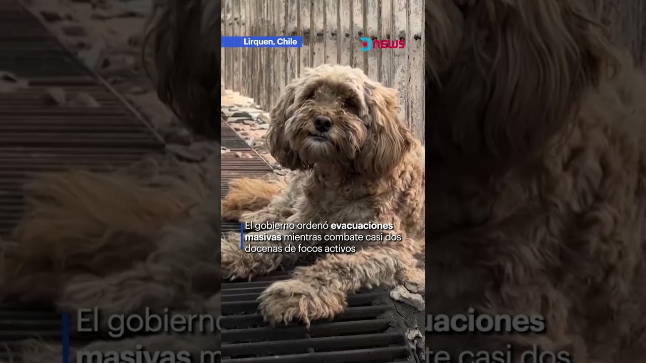 🔥🇨🇱 Tragedia en Chile por incendios forestales