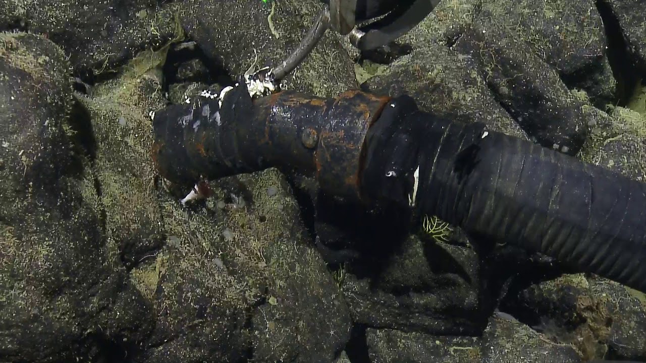 ROV Hercules Dive NA124 H1841 2020 10 30 19 50 32 760 UTC 3 W1